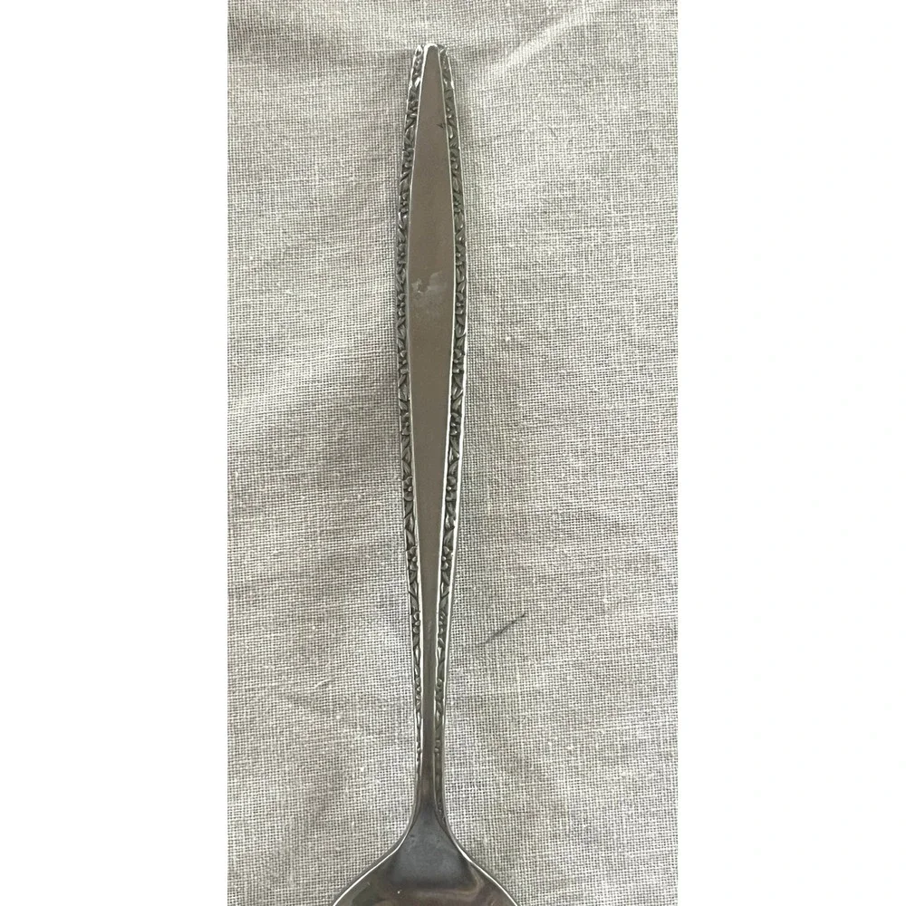 International Decorator FASCINATION Stainless Steel Spoon‎